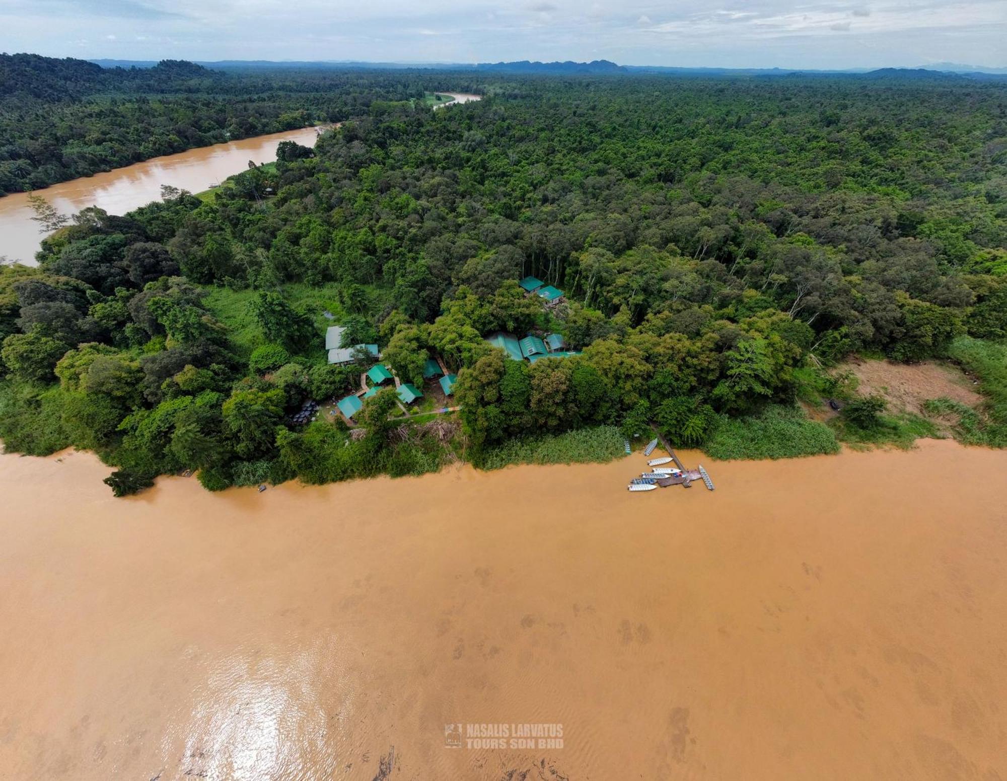 Tanini Kinabatangan Formerly Known As Nature Lodge Kinabatangan Bilit Exteriör bild