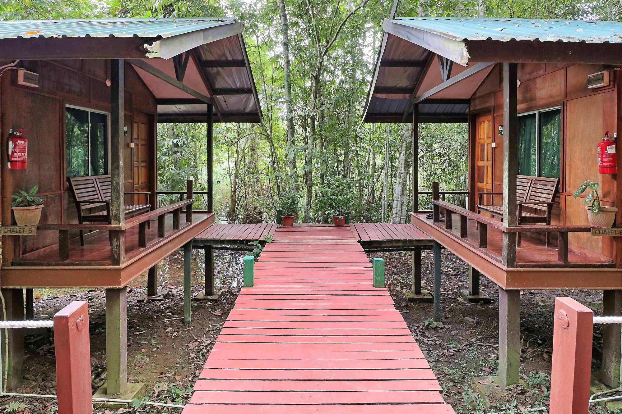 Tanini Kinabatangan Formerly Known As Nature Lodge Kinabatangan Bilit Exteriör bild